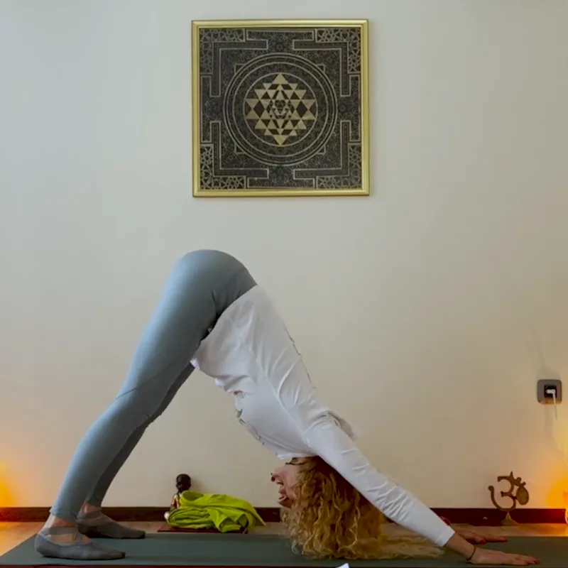 Seated meditation pose